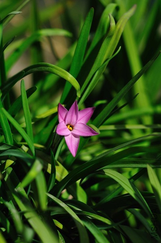 nEO_IMG_DSC_0469.jpg