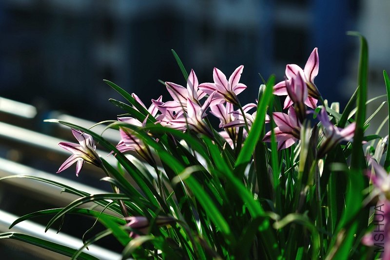 nEO_IMG_DSC_0761.jpg