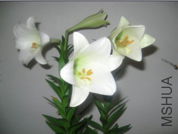 ���춼����.jpg