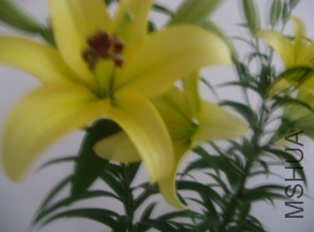 Ү����һ�¿���4��