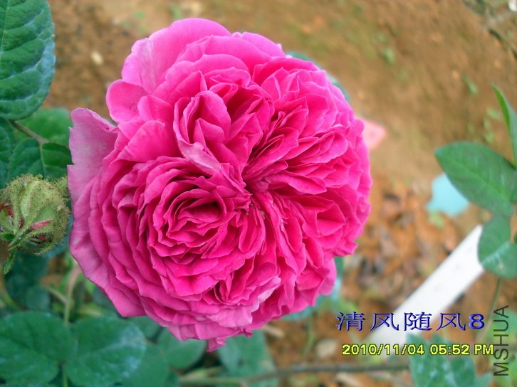 �Ű��������� (4).jpg