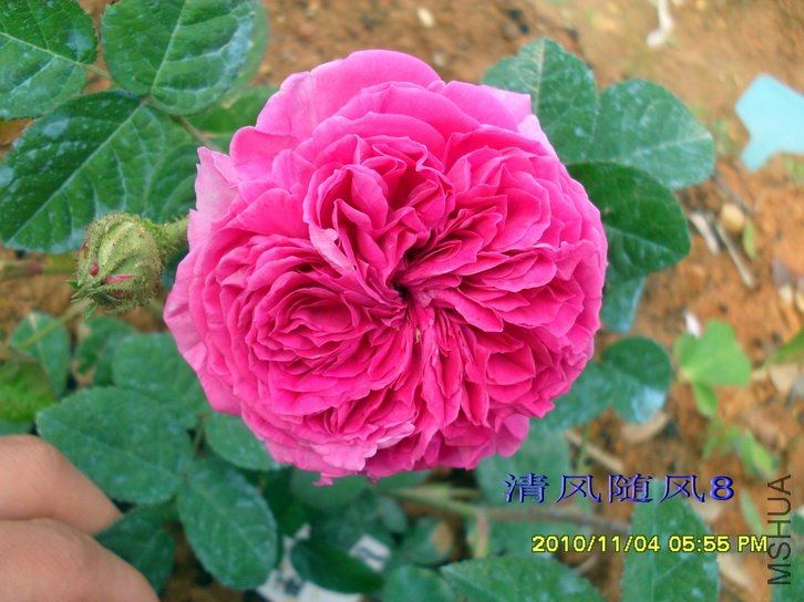 �Ű��������� (5).jpg