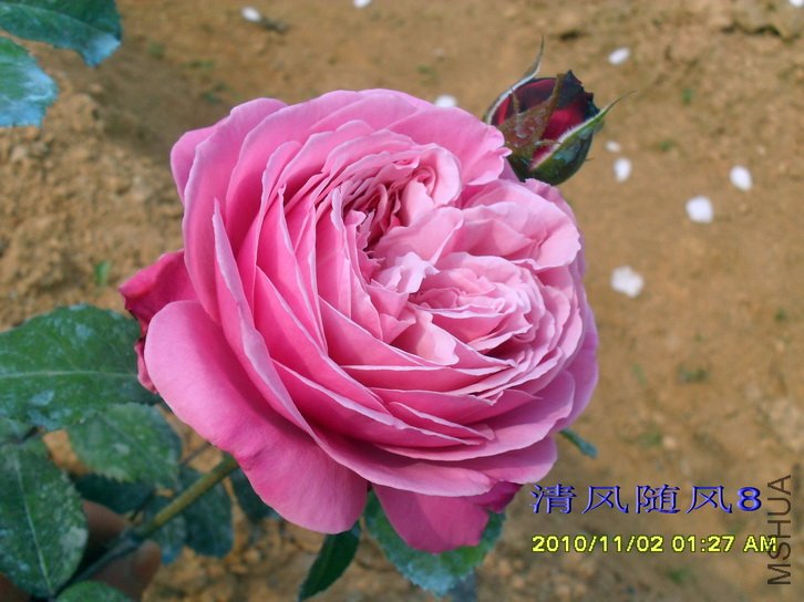 Ŧ������ (7).jpg