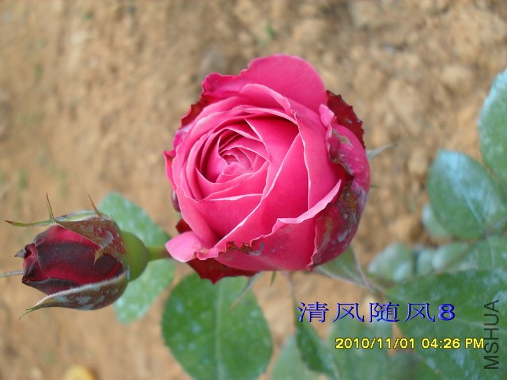 Ŧ������ (6).jpg