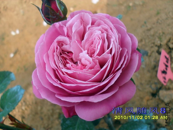 Ŧ������ (8).jpg