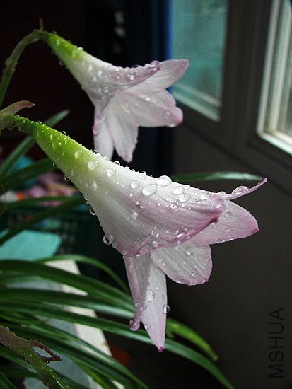 101_8645.jpg