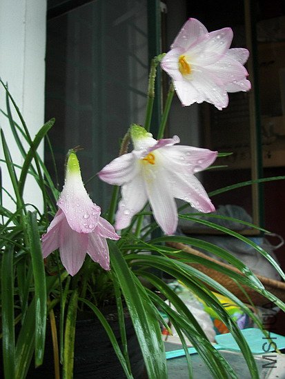 101_8644.jpg