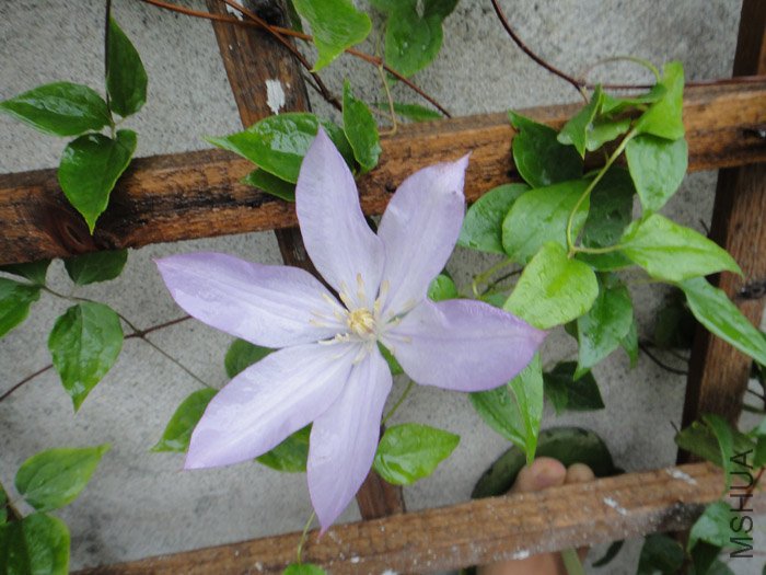 DSC04793.jpg