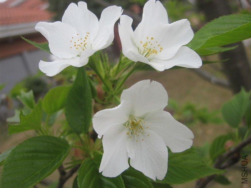 �滨.jpg