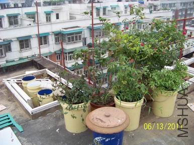 ������С 100_1132.JPG