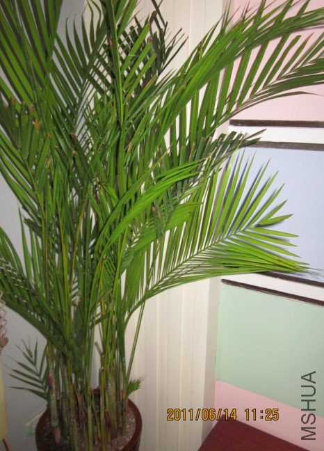 ɢβ��