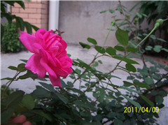 100_1191_����.jpg