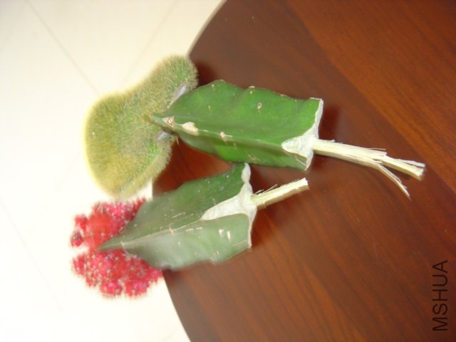 ���ھͽ���