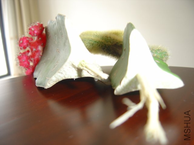 �е����Ĳ������µĴ���