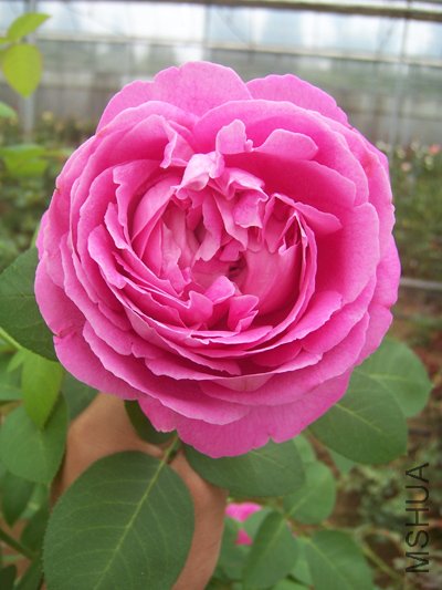 100_6022.jpg