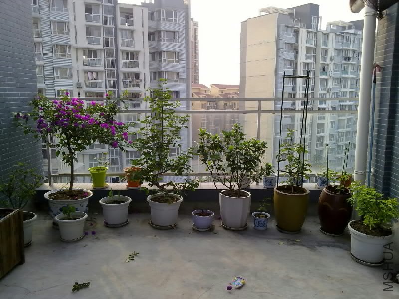 20110615475.jpg