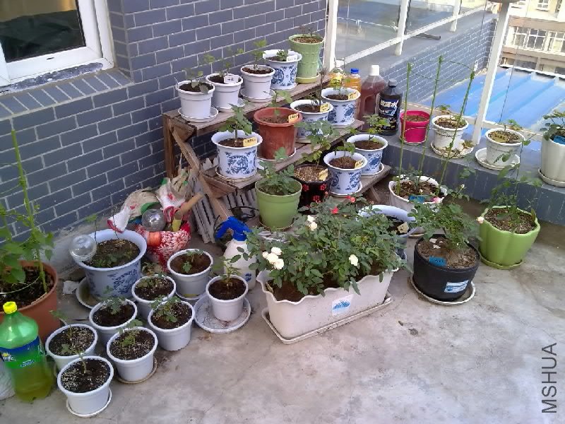 20110615473.jpg