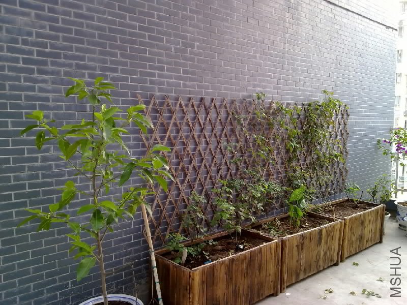 20110615474.jpg