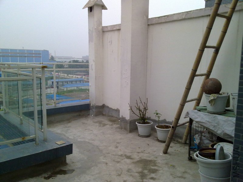 20110616484.jpg
