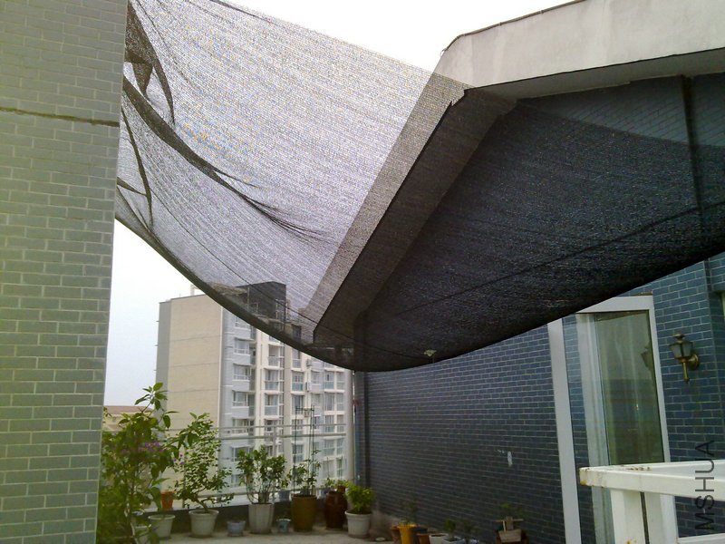20110616481.jpg