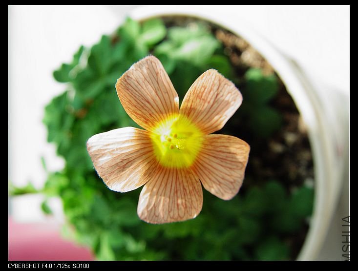 nEO_IMG_DSC06922.jpg
