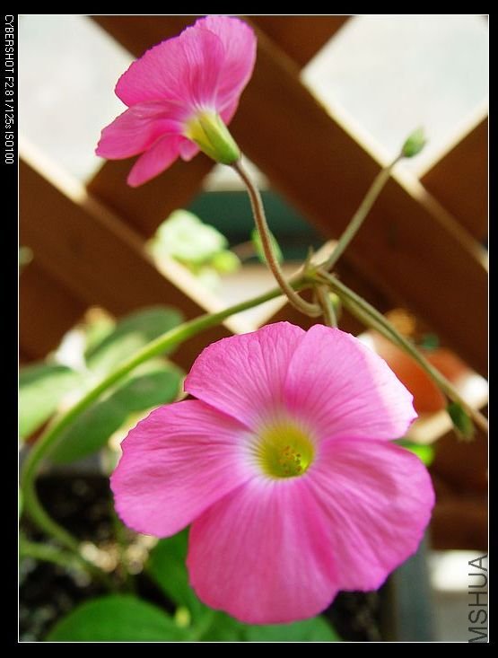 nEO_IMG_DSC06757.jpg