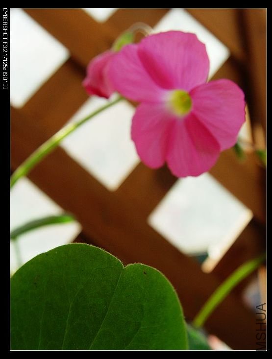 nEO_IMG_DSC06744.jpg
