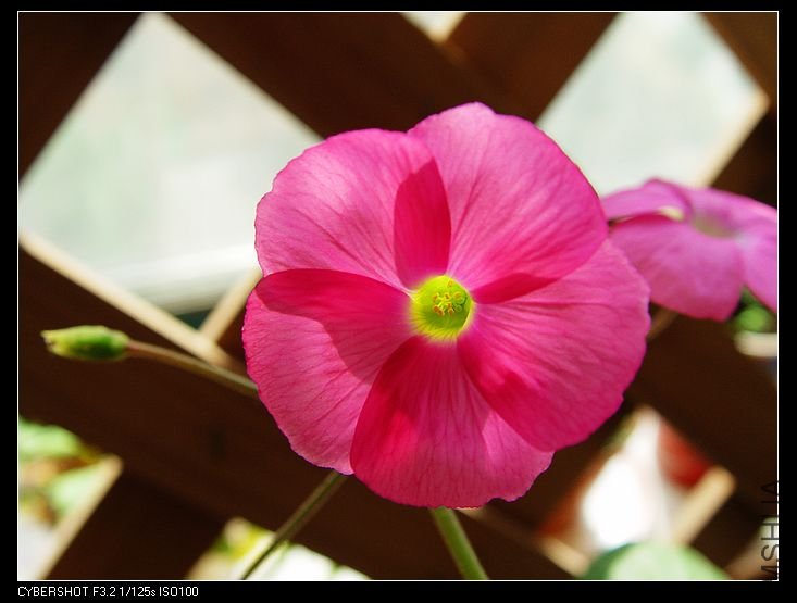nEO_IMG_DSC06758.jpg