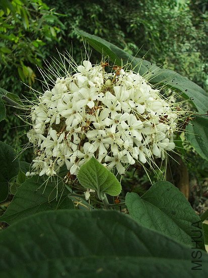 101_8617.jpg