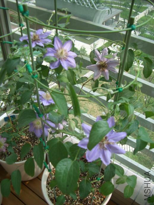 ������С ��ת CIMG0036.JPG