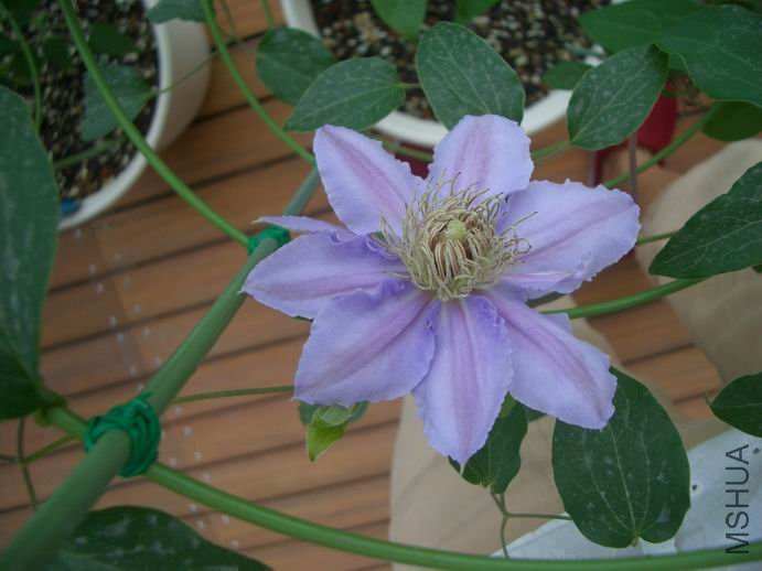 ������С CIMG0028.JPG