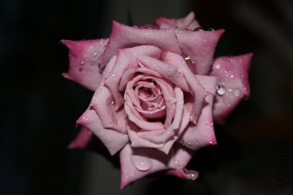 IMG_8140.JPG