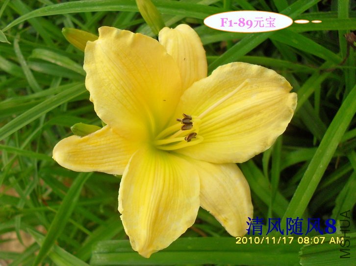 F1-89Ԫ�� (2).jpg