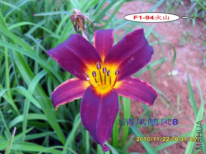 F1-94��ɽ (4).jpg