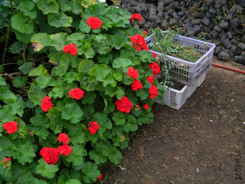 DSCN2635.jpg