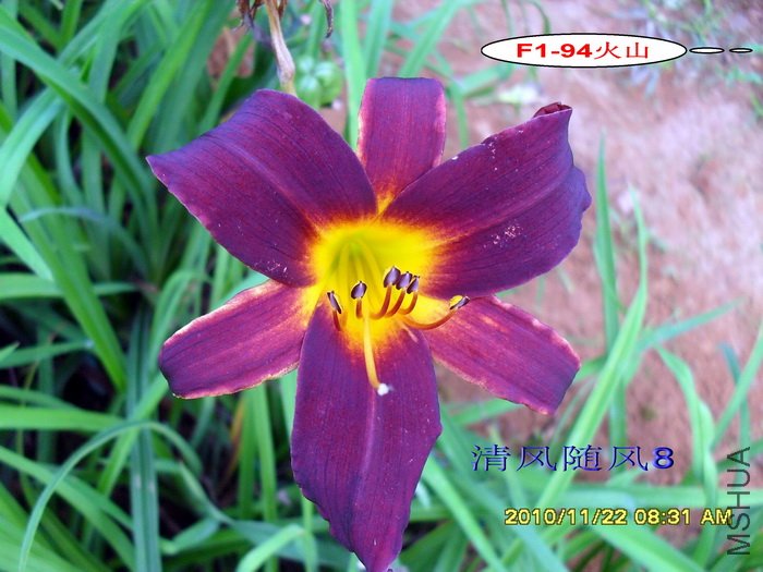 F1-94��ɽ (5).jpg