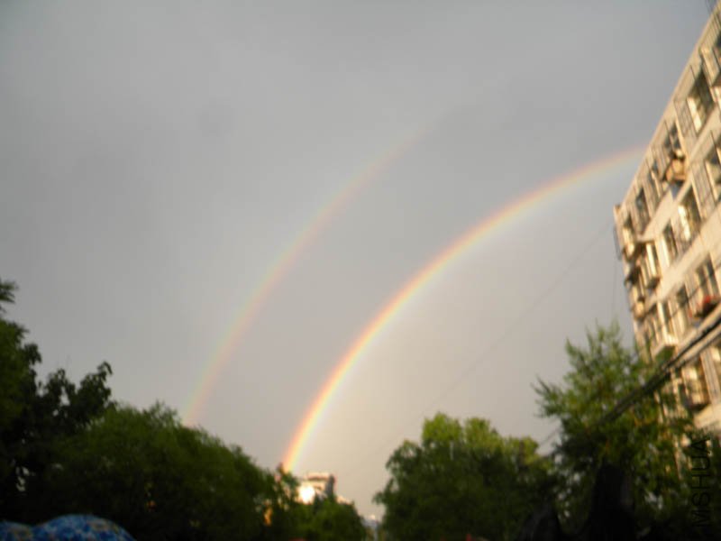 DSCN2702.jpg