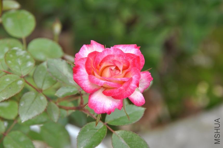 ����͵ģ�֪����ʲô��