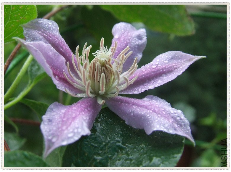 dscf8604_����.jpg