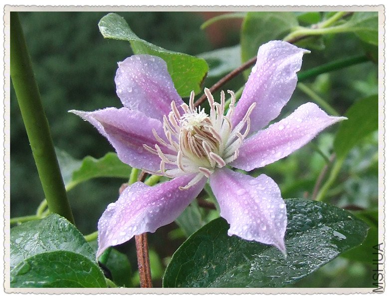 dscf8603_����.jpg