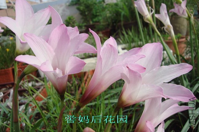 DSC01922_������С.jpg