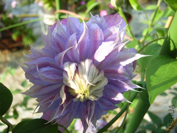 �ڶ�������