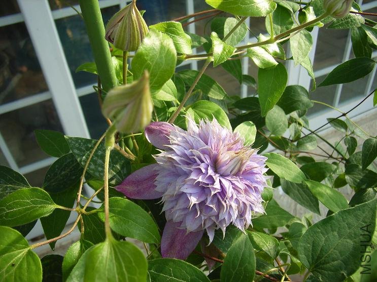 ��һ���м�İ���ȫ���򿪵�����