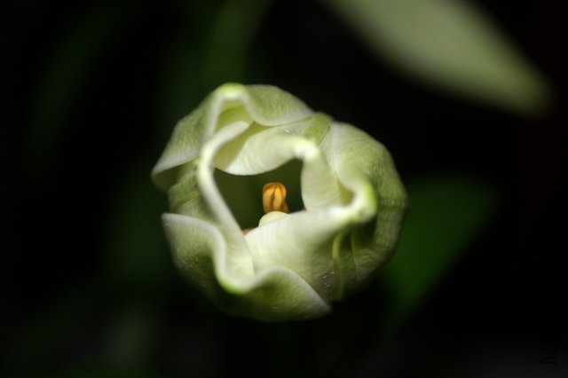 С��տ�һ���