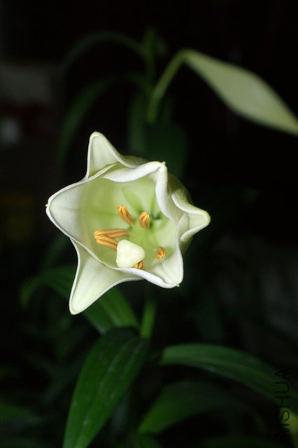 ���ڿ��������˵��ǻ�δ��ȫ��