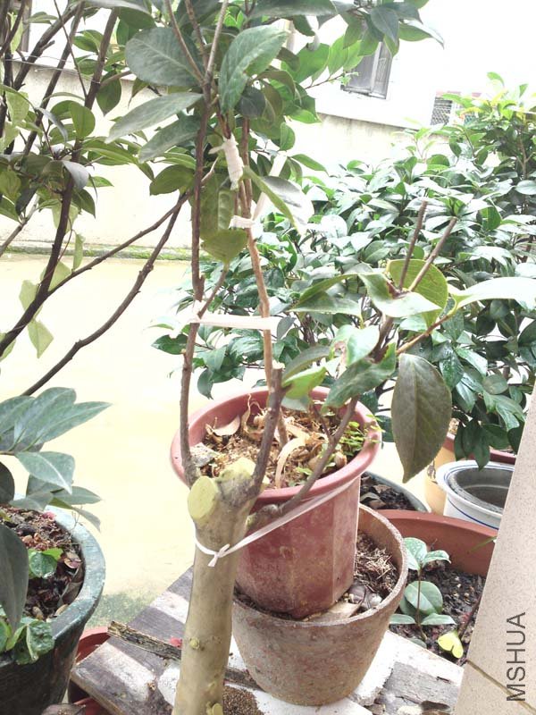 �ڶ����������