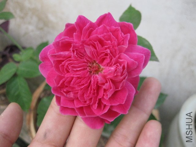 ��Ƭ 050.jpg