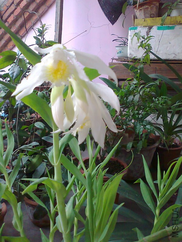 ��Ƭ0826.jpg