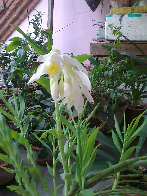 ��Ƭ0827.jpg