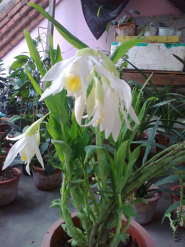 ��Ƭ0828.jpg